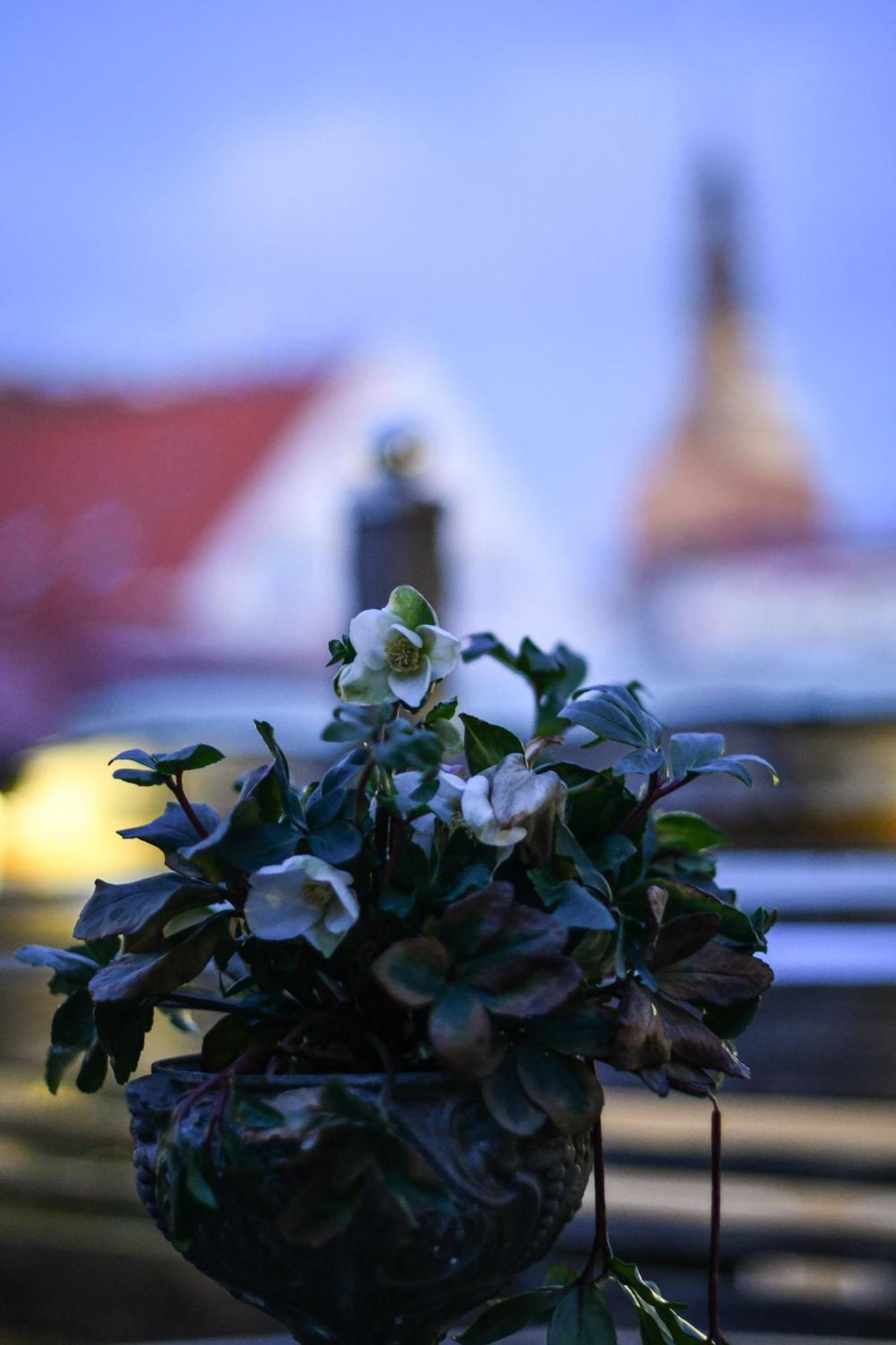 Prins Carl Ystad Luaran gambar
